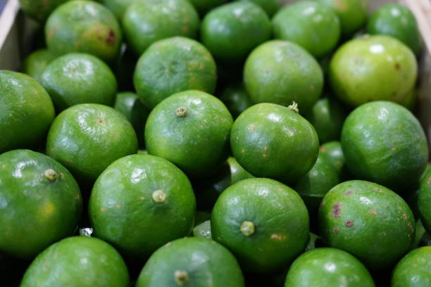 istock Lots of bright green limes 1149581809