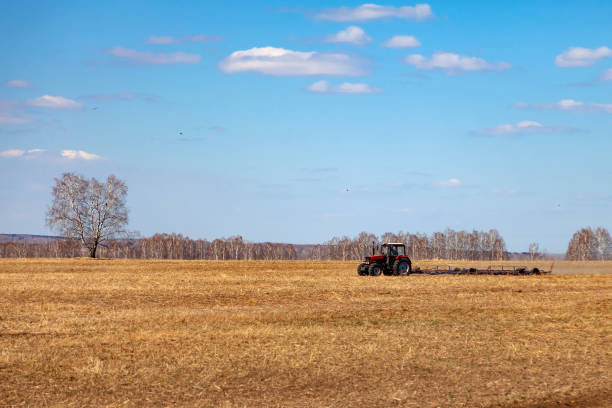 Red tractor with a trailed plow for mowing and weeding fields for the agro-industry of yellow color under the blue sky, a clear spring day. Preparation for planting crops rural technology. Farming. tractor rojo con un arado arrastrado para la siega y los campos de deshierbe para la agroindustria de color amarillo bajo el cielo azul, un día de primavera claro. preparación para la plantación de cultivos de tecnología rural. ganadería.