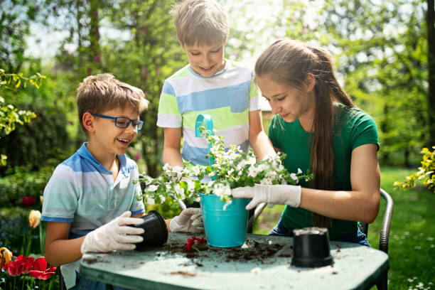 istock Kids having fun potting flowers in garden 1149582405