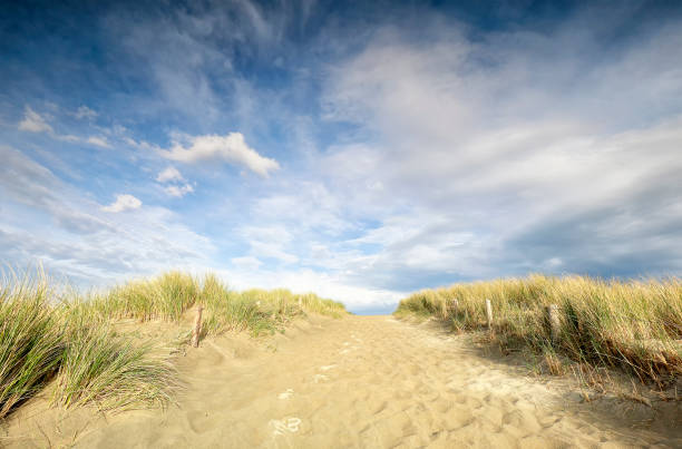istock sand path on dune from beach and blue sky, Holland 1149584290