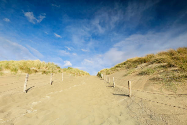 istock path up sand dune and blue sky by sea beach 1149584711