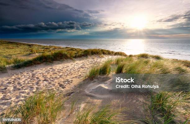 Sunshine Over Sand Path On Dune To North Sea Beach Stock Photo - Download Image Now - Beach, Zandvoort, Netherlands