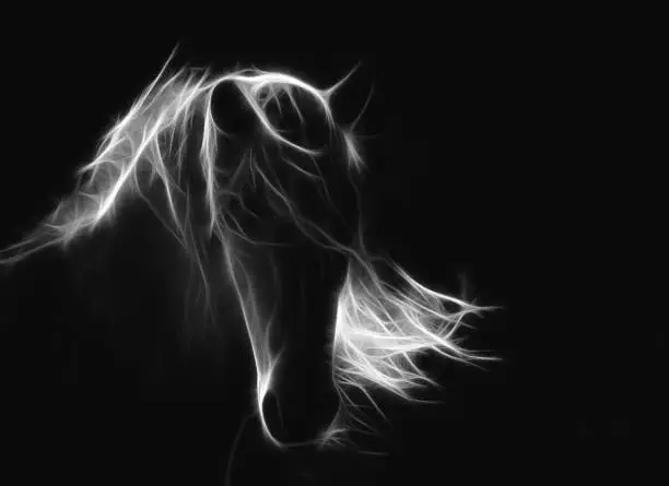 Photo of abstract horse