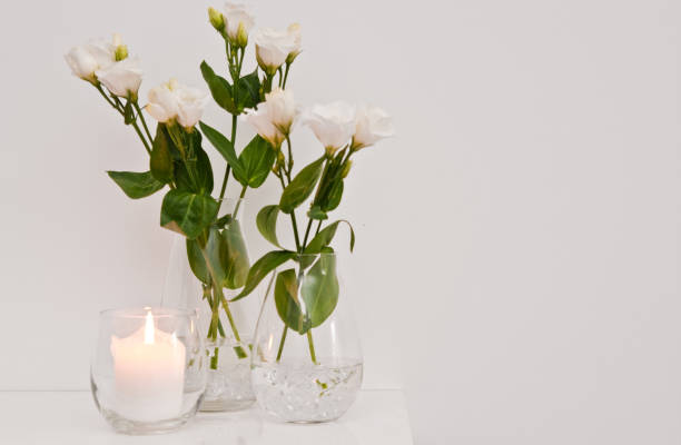 istock White eustoma flowers in glass on white background 1149587263