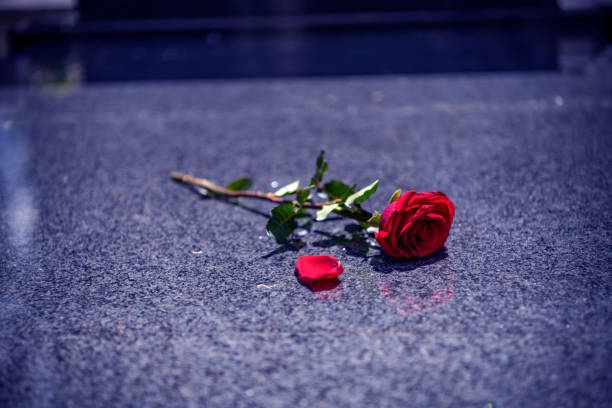 istock Flower on memorial stone close up 1149588232
