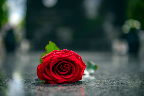 istock Flower on memorial stone close up 1149588383