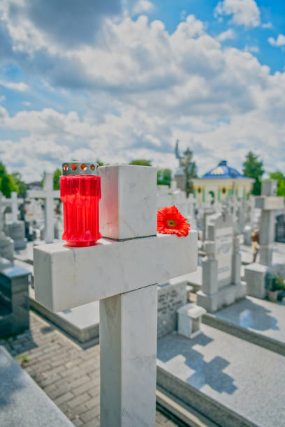 istock Flower on memorial stone close up 1149588494