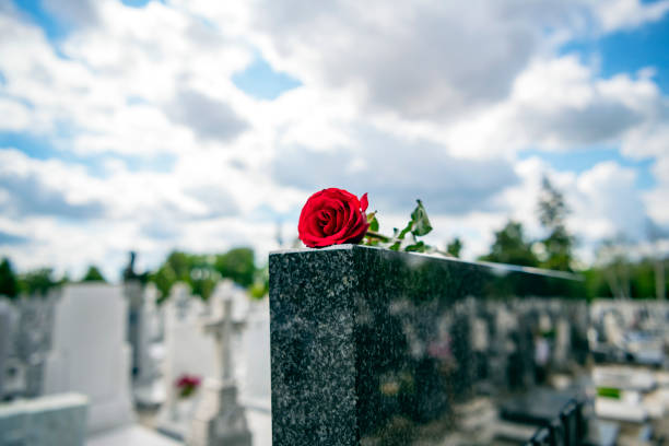 istock Flower on memorial stone close up 1149588778