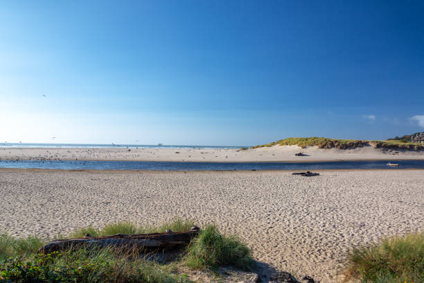 istock Sand and Sea at Cannon Beach, Oregon 1149588935