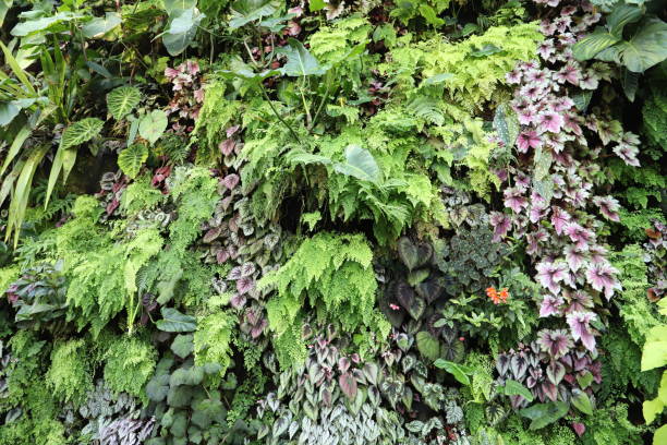 istock Living tropical plant wall 1149589188