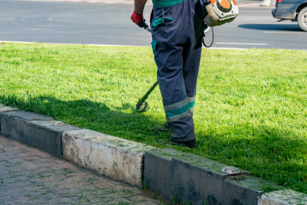 istock The gardener cutting grass by lawn mower 1149590481