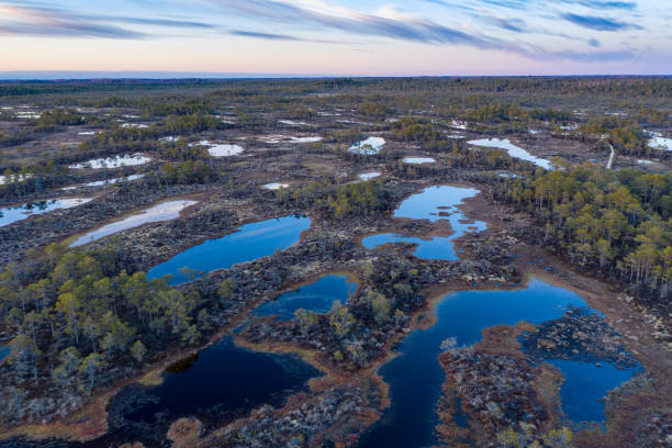 istock Sunset in the bog, golden marsh, lakes and nature environment. Sundown evening light in spring 1149592519