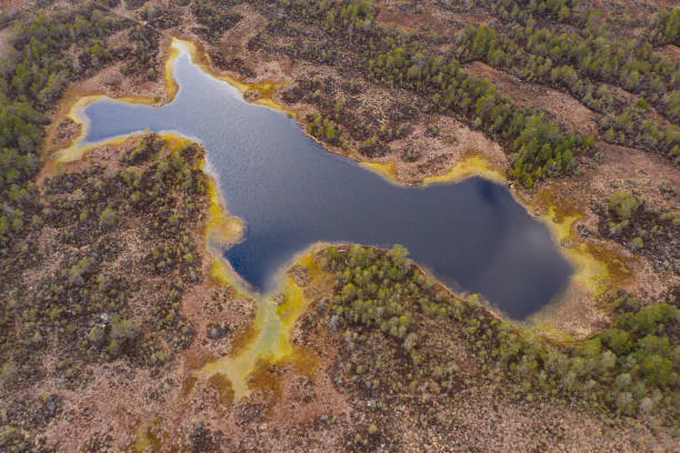 istock Sunset in the bog, golden marsh, lakes and nature environment. Sundown evening light in spring 1149593468