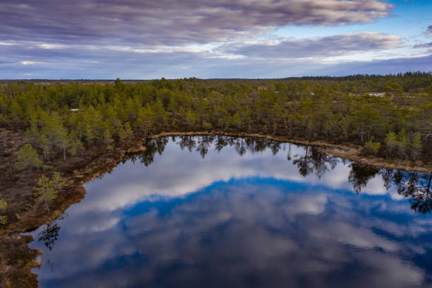 istock Sunset in the bog, golden marsh, lakes and nature environment. Sundown evening light in spring 1149593489