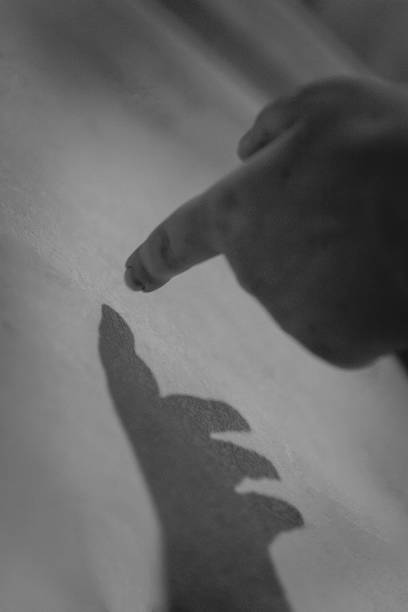 istock Hand and her shadow on the wall. Black and white. Monochrome 1149595061