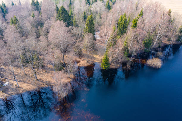 istock Sunset in the bog, golden marsh, lakes and nature environment. Sundown evening light in spring 1149597090