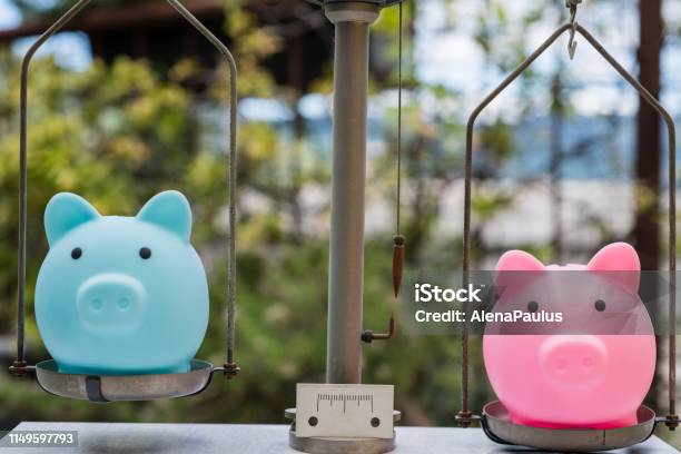 Male And Female Piggy Bank On Balance Stock Photo - Download Image Now - Concepts, Equality, Wages