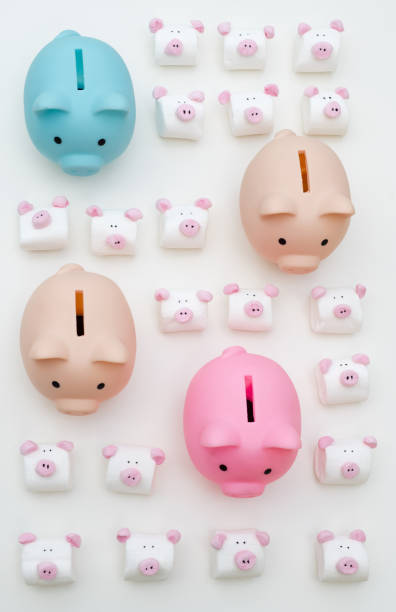 Cute Piggy Banks between Little Marshmallow Pigs on white