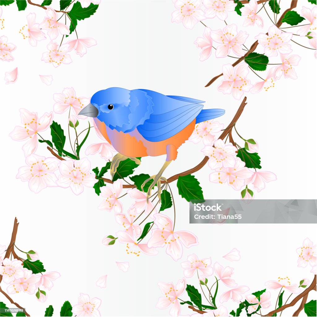 Seamless texture bird Bluebird  small thrush  songbirdons on an  branch wild Cherry wild Cherry  blue   spring background vintage vector illustration editable Seamless texture bird Bluebird  small thrush  songbirdons on an  branch wild Cherry wild Cherry  blue   spring background vintage vector illustration editable hand draw Bluebird - Bird stock vector