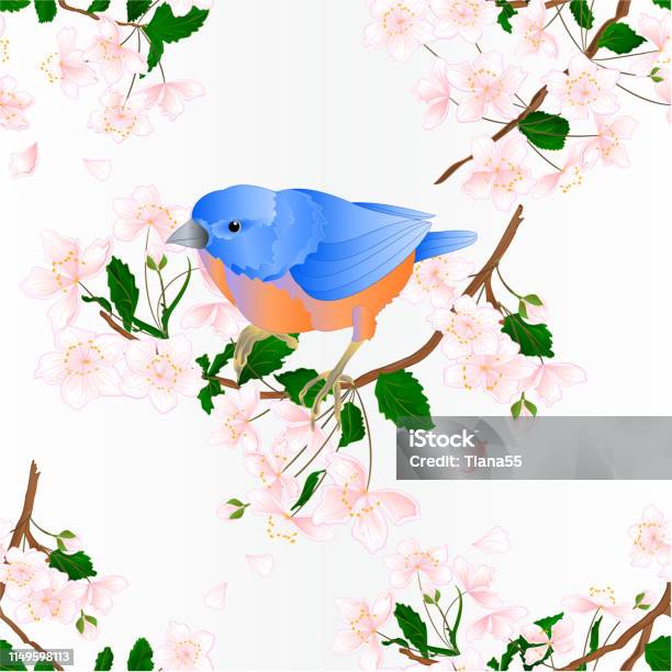 Seamless Texture Bird Bluebird Small Thrush Songbirdons On An Branch Wild Cherry Wild Cherry Blue Spring Background Vintage Vector Illustration Editable Stock Illustration - Download Image Now