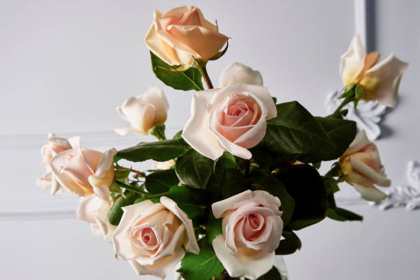 istock bouquet of light pink roses on a light background 1149610520