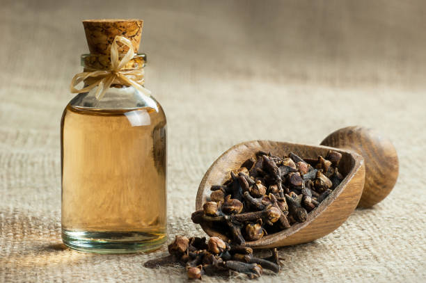 Close up glass bottle of clove oil and cloves in wooden shovel on burlap sack stock photo