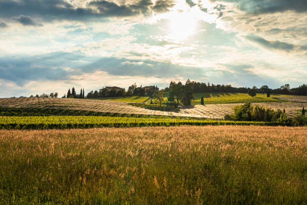 Susegana e Conegliano,land of Prosecco wine -storm curtains
