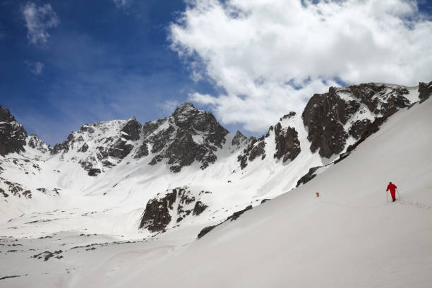 istock Mountain range with avalanche traces, sunlit cloudy sky and hiker with dog 1149620930