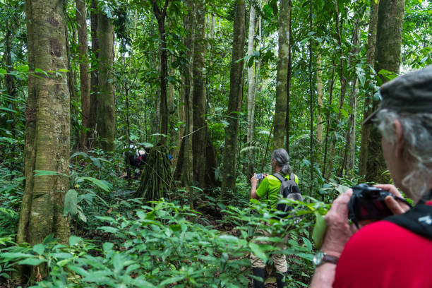 istock Tourists hiking in rainforest 1149622796
