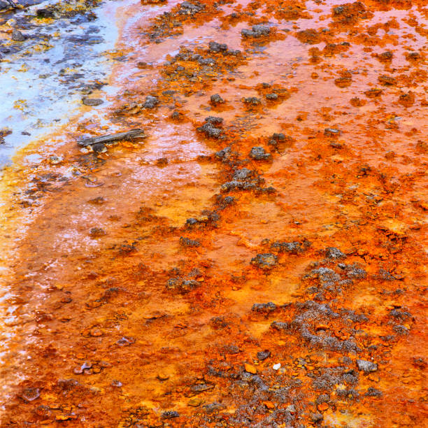 istock Yellowstone National Park in Wyoming 1149622843