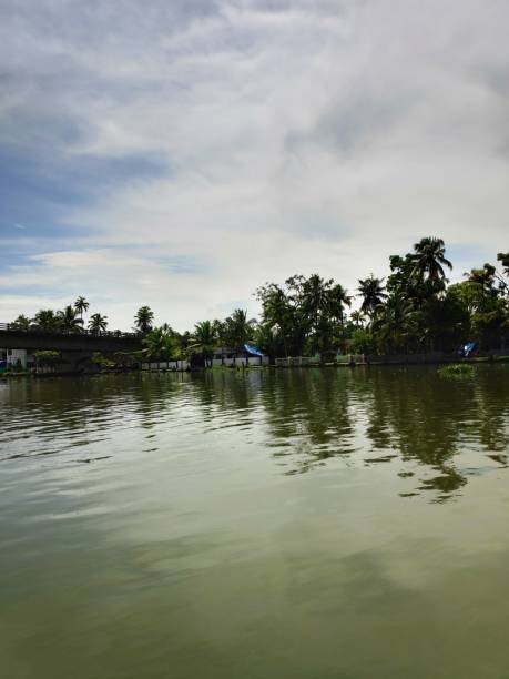 istock Scenic View of Backwater 1149623636