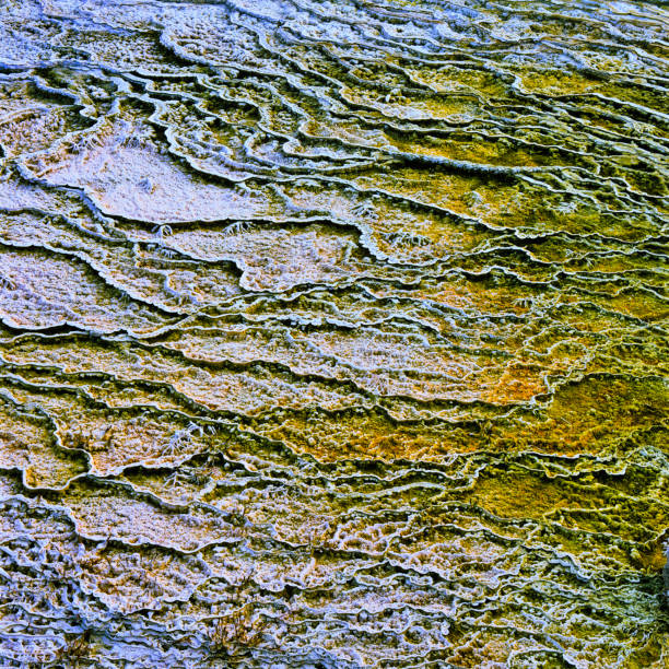 Mammoth Hot Springs feature in Yellowstone National Park