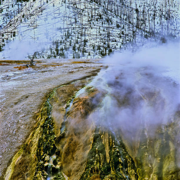 Morning Glory Pool ringed with orange thermophiles and white sinter. Upper Geyser Basin, Yellowstone National Park, Wyoming, USA.
