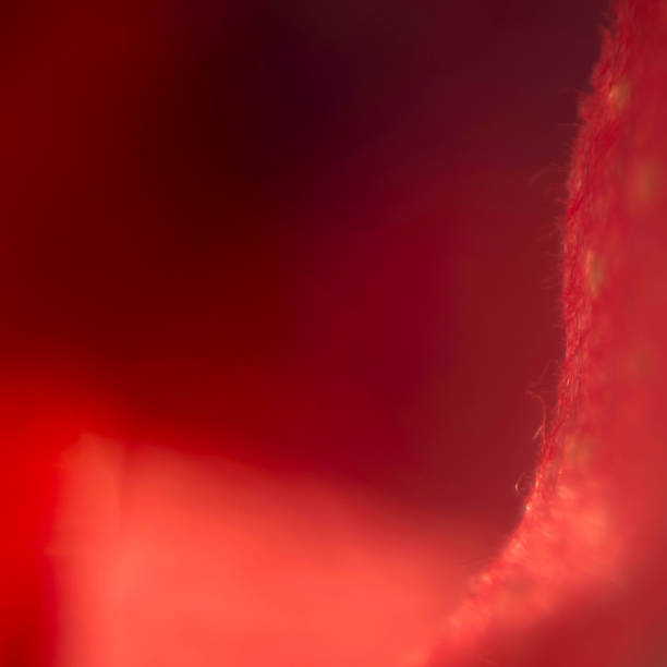 istock Abstract blurred in delicate shapes background in red bright colors. 1149625278