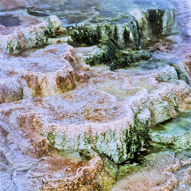 Mammoth Hot Springs feature in Yellowstone National Park