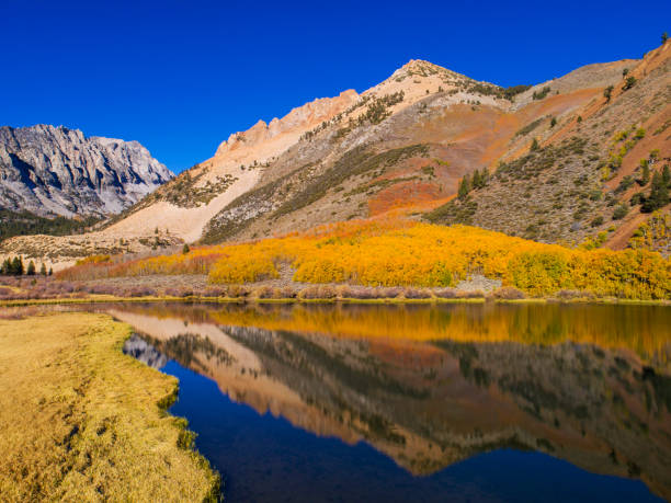 istock Mountain lake in fall colors 1149625648
