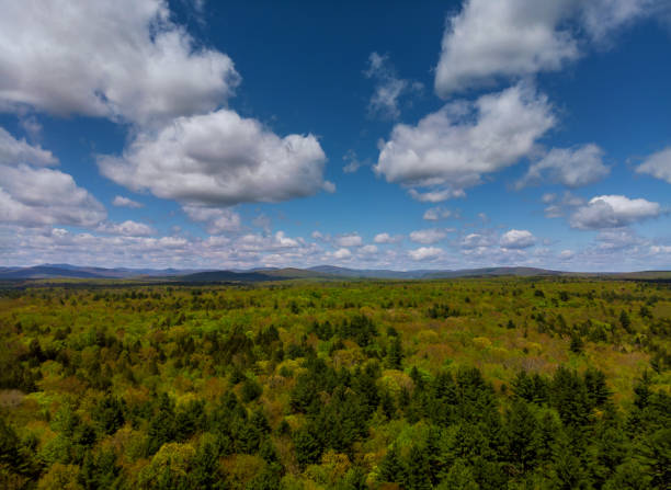 istock Pocono Mountains Pennsylvania landscape with green meadow and forest 1149625708