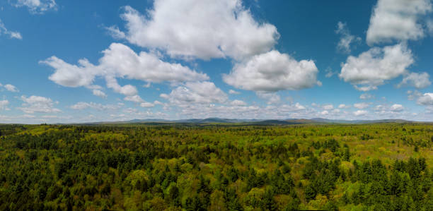 istock Trees in springtime on the Mountain Pocono Mountains Pennsylvania 1149625736