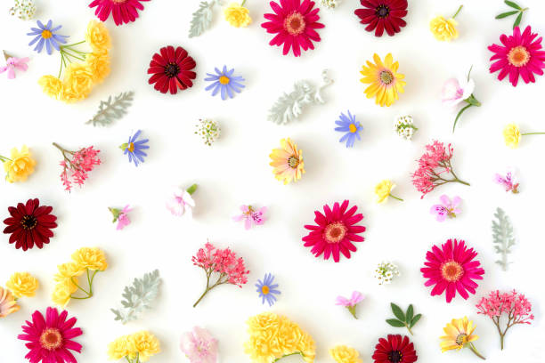 istock Floral pattern with spring flowers and leaves on white background 1149626608