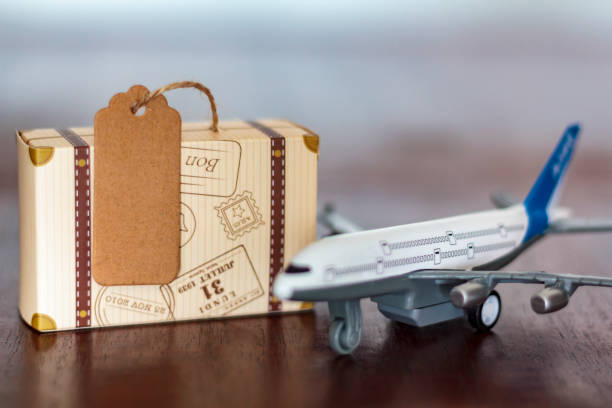 istock Luggage and Airplane. Travel concept 1149626799