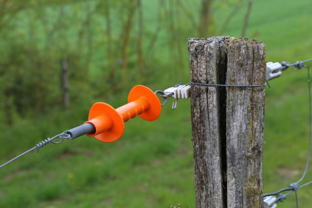 istock Electric fence gate protects a green grass pasture 1149635048