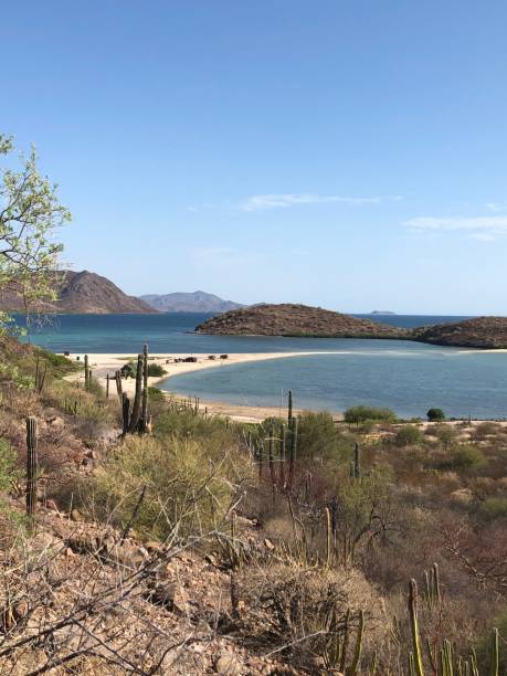 istock Sea of Cortez 1149635358