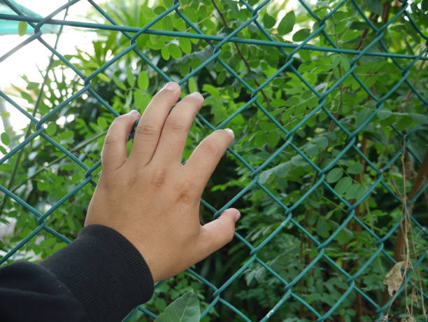 istock Left hand climbing the green fence on nature background 1149636010
