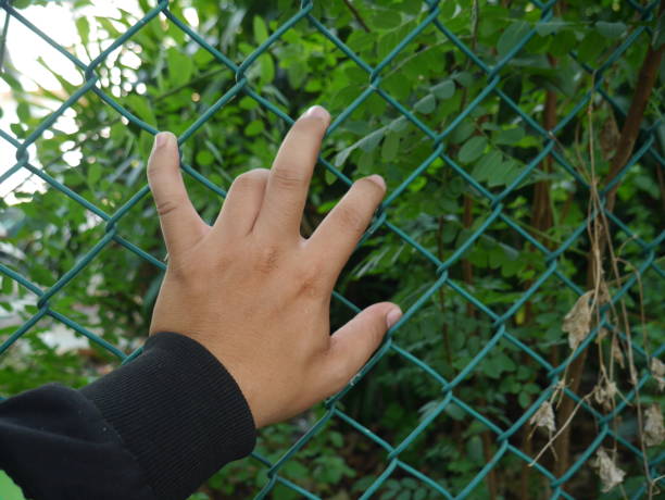 istock Left hand climbing the green fence on nature background 1149636018