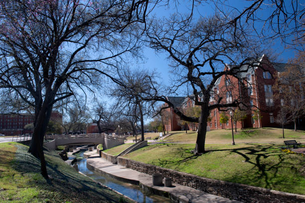 Bright open field framed by a tree, with lush grass and distant modern apartment buildings under a clear blue sky, conveying a calm, outdoor campus or residential setting.
