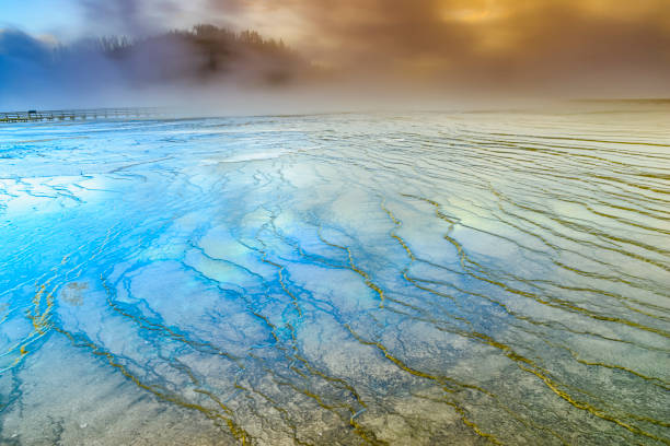 Vibrant mineral deposits cover the ground in this geothermal area of Yellowstone National Park. Steam rises from vents, showcasing the park's active geology under a clear sky.
