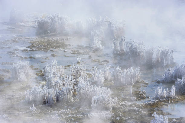 Yellowstone National Park in Wyoming Mud Volcano feature in Yellowstone National Park mud volcano yellowstone stock pictures, royalty-free photos & images