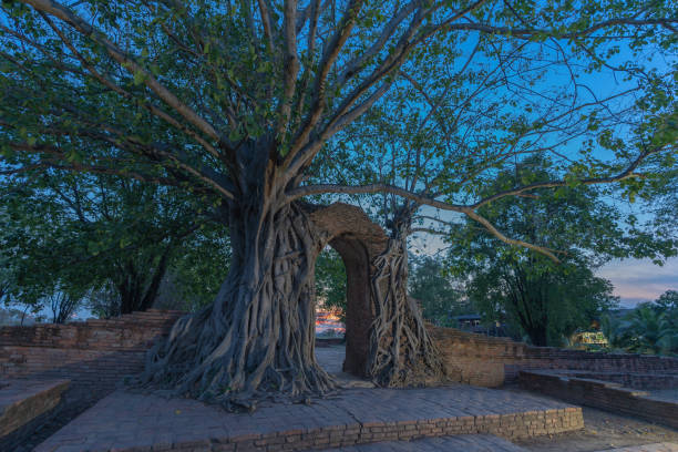 istock the door of time in twilight 1149644093