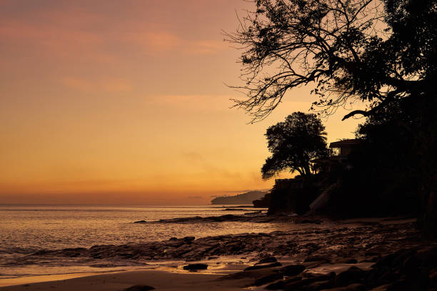 Sunset at the seaside with a tree silhouette on Contadora Island in the Pacific Ocean Archipelago Las Perlas isla contadora stock pictures, royalty-free photos & images