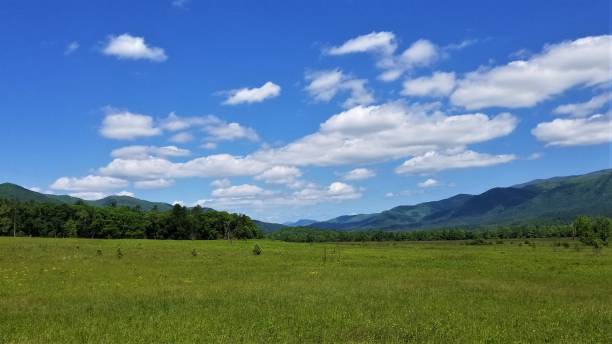 istock Scenic Mountain Pasture in May 6 1149647522